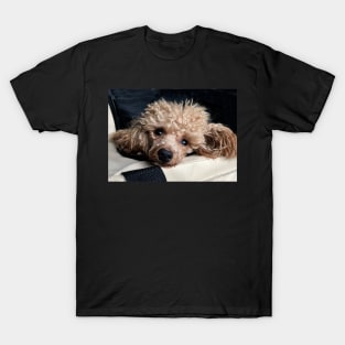 Are We Home Yet?? T-Shirt